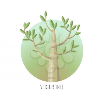 Poplar tree with green leaves. Vector tree round icon. Tree forest, leaf tree isolated, tree branch nature green, plant eco branch tree, organic natural wood illustration. Vector illustration