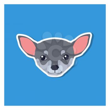 Little head of Chihuahua dog front view flat icon on blue background. Vector illustration of smallest breed of dogs. Chihuahua s eyes are large, round in shape, very expressive, not bulging.