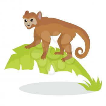 Monkey cartoon character.  Monkey on palm leaves flat vector isolated on white. African fauna. Ape in jungle icon. Wild animal illustration for zoo ad, nature concept, children book illustrating