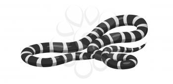 Curved slither banded sea krait or california kingsnake icon. Creeping black with white stripes water snake isolated vector. Crawling poisonous reptile illustration for wild nature concepts, zoo ad