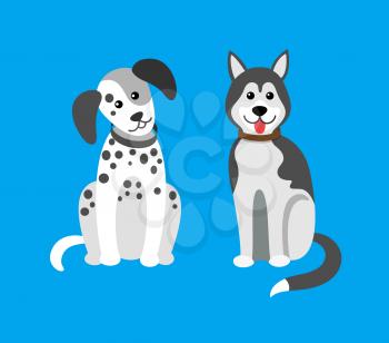 Dog puppies sitting in clinic, hospital doggy pets vector. Breeds of mammal animals doggish creatures, purebred Siberian husky, canis lupus familiaris