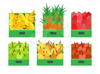 Fruit and vegetables store food placed in containers vector. Banana and pineapples tropical and exotic plants. Apples and ripe pears, beetroot veggies