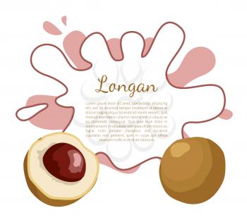 Longan exotic juicy fruit from plant related to litchi vector poster with frame and place for text.Tropical food, dieting vegetarian grocery banner