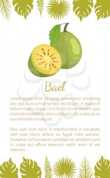 Bael exotic juicy fruit vector poster text sample and leaves. Aegle marmelos, Bengal quince, golden stone wood apple, bitter orange. Tropical edible food
