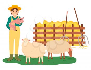 Tending animals at farm vector, farming woman holding pig standing by sheep and hay with instruments for dried grass. Farmer busy with work isolated