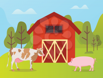 Livestock animals cow and pig near warehouse. Vector country rural landscape with red house and domestic pets, green trees and grass, spring or summer season