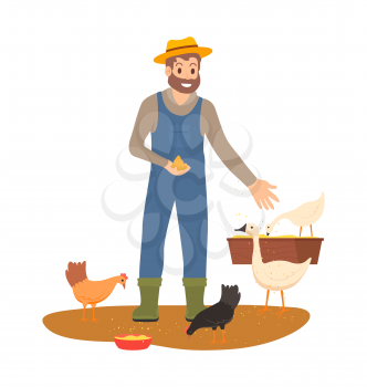 Farming man on farm vector, person caring for domestic animals feeding chickens and hens, poultry tending and breeding, geese and chicks isolated