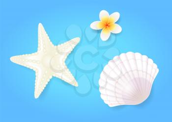 Snow-white shellfish and starfish with pale exotic flower, isolated on blue hand drawn composition. Summer beach theme banner, vector placard sample.