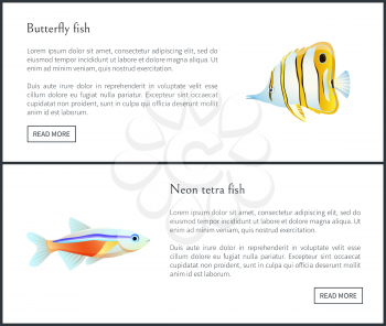 Butterfly and Neon tetra fish with text vector illustration landing page. Exotic marine creatures, aquatic species on web with push button read more
