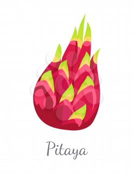 Pitaya or pitahaya exotic juicy fruit vector isolated. Tropical edible food, dieting vegetarian icon full of vitamins, subtropical dragon fruits sign