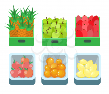 Shopping products pineapple fruits set vector. Basket with lemon, oranges and apples, beetroot vegetables. Supermarket food in containers and boxes
