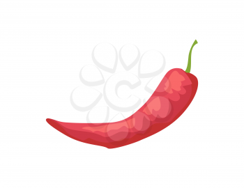 Pepper raw spicy vegetable isolated icon vector. Chilli chile veggie with piquant taste used as flavour in dishes. Ingredient of meals made of meat