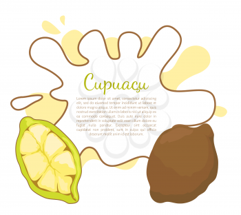 Cupuacu exotic cupuassu, cupuazu and copoasu, tropical rainforest fruit related to cacao vector poster frame and text. Dieting vegetarian icon, edible