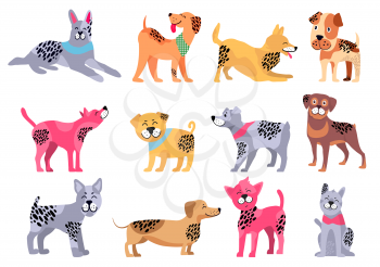 Domestic dogs of pure breeds big isolated cartoon vector illustrations set on white background. Animal symbol of 2018 year by Chinese calendar.