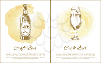 Botted and draught beer with high foam hand drawn vector illustration in color plush. Sketch style depiction of brewery, poster with text sample.