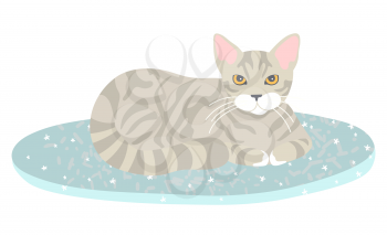 Grey striped cat lying on blue rug with star pattern isolated on white. Fluffy, furry pet resting , Sweet home concept flat cartoon vector illustration