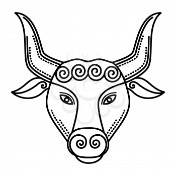 Second astrological sign, taurus associated with constellation. Zodiac represented by symbol of bull or buffalo. Outline drawing of animal on white background. Vector illustration of asterism in flat