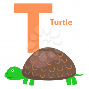 Alphabet vector illustration for letter T with big green turtle isolated on white background. Visualisation for children of ABC to make memorizing faster and funnier. Cute cartoon reptile animal.