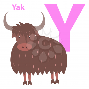 Alphabet vector illustration for letter Y with furry yak with big horns isolated on white background. Visualisation for children of ABC to make memorizing faster. Kids educational cute picture.