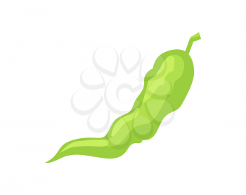 Green chili pepper pod isolated vector icon in cartoon style. Hand drawn single badge of whole fresh and raw vegetable, restaurant menu cover emblem