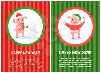 Happy New Year posters, pigs building snowman. Christmas animal in hat and mittens with scarf, winter holidays symbol in sweater with candy stick on red and green