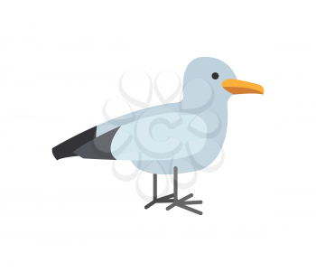 Single grey seagull isolated on white. Stylized nautical animal emblem. Standing little bird with black and white plumage vector in flat style illustration