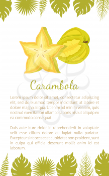 Carambola or starfruit exotic fruit vector poster with text sample and palm leaves. Tropical edible food, dieting vegetarian icon full of vitamins