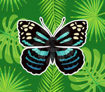 Tropical decoration, leaves of palm and monstera plant vector. Blue butterfly with antennae, insect winged creature with ornaments, sitting on foliage