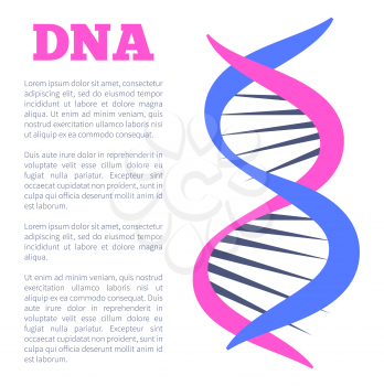 DNA deoxyribonucleic acid chain of nucleotides carrying genetic instructions used in growth development functioning and reproduction vector poster