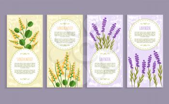 Sandalwood and lavender set of covers with text samples and headlines, herbs set aromatic herbs vector illustration, isolated on white background