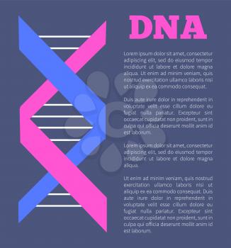 DNA colorful sign on poster with place for text, deoxyribonucleic DNA acid chain carrying genetic instructions used in functioning and reproduction vector
