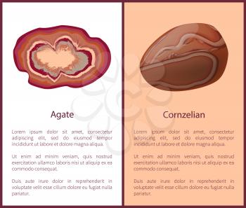Agate and Carnelian or cornelian brownish-red mineral semi-precious gemstones, silica mineral chalcedony orange-red colored, carnelian agate stone vector
