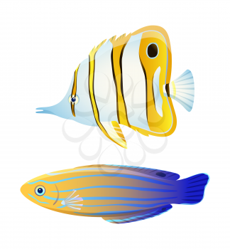 Butterfly fish and blue striped tamarin wrasse. Fresh and saltwater aquarium pets silhouette on blank background in cartoon style vector illustration