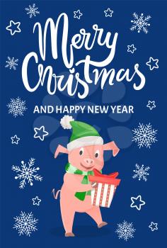Piglet symbol of New Year with gift box isolated on background with blue snowflakes. Pig in green scarf and hat wishing Merry Christmas vector postcard
