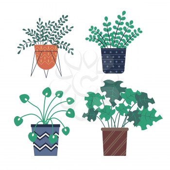Plants growing in pots vector, herbs and foliage with different shape of leaves. Summer plantation, vegetation for home decor, vases for house set