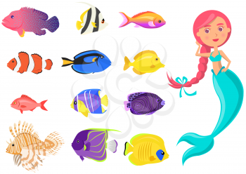 Mermaid with group of colored fish on white background. Cartoon nautical characters fingerling set. Sea dweller. Wild nature of mediterranean sea. Underwater life of creature, small fish and nixie