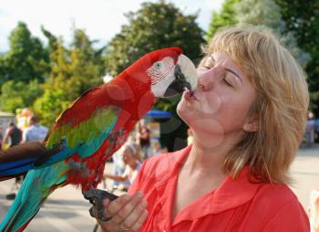 woman holds in the palm of a parrot and kisses