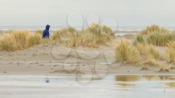Lonely woman walking on a beach in Holland
