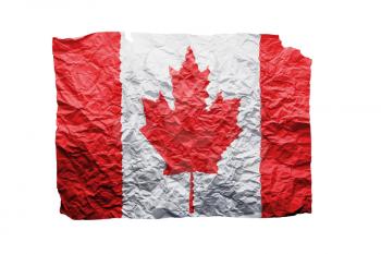 Close up of a curled paper on white background, print of the flag of Canada