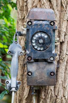 Old black telephone hanging on a tree