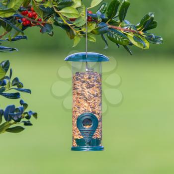 Bird feeder full of seeds hung in the tree