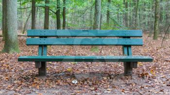 Old wooden park bench in a forrest