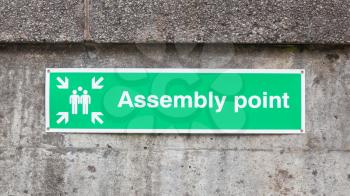 Green plastic 'assembly point' sign, isolated on concrete wall