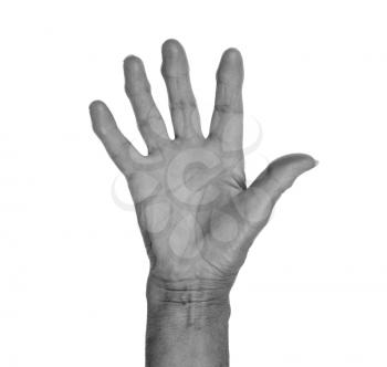 Hand symbol, saying five, saying hello or saying stop, grey