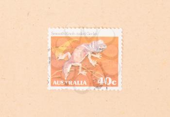 AUSTRALIA - CIRCA 1980: A stamp printed in Australia shows a smooth Knob-tailed gecko, circa 1980