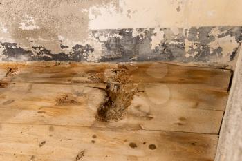 Water damaged floor and wall, leakage in an old building