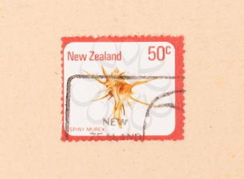 NEW ZEALAND - CIRCA 1980: A stamp printed in New Zealand shows a Spiny Murex, circa 1980