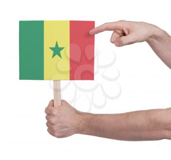 Hand holding small card, isolated on white - Flag of Senegal
