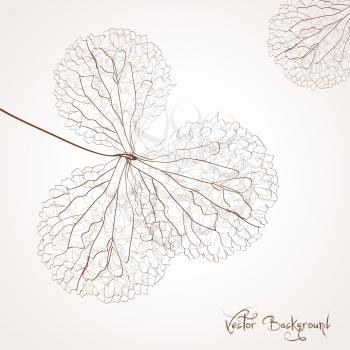 vector flower background 
