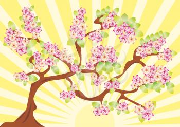 Spring card with sakura. vector illustration 